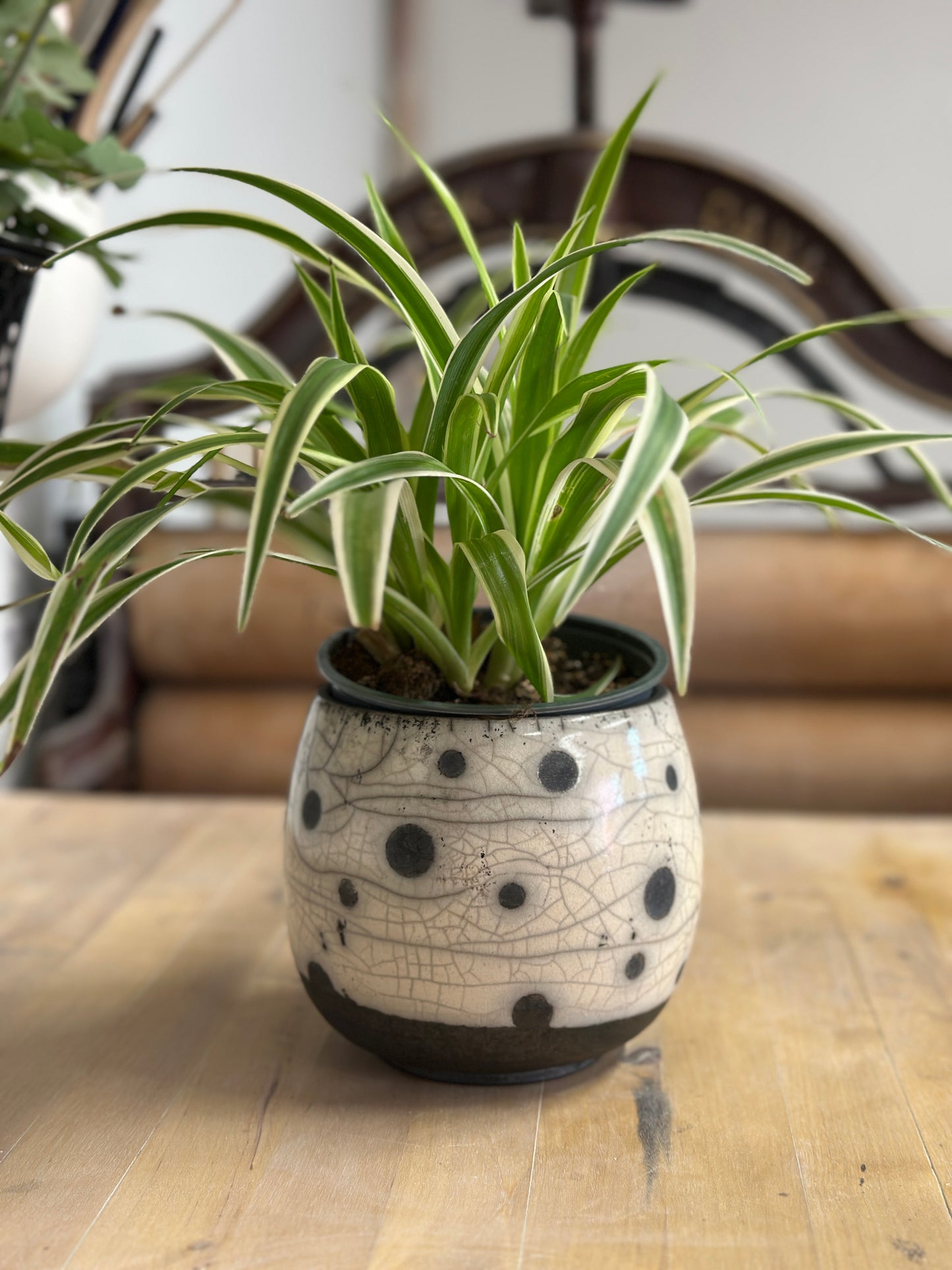 Prikket urtepotteskjuler