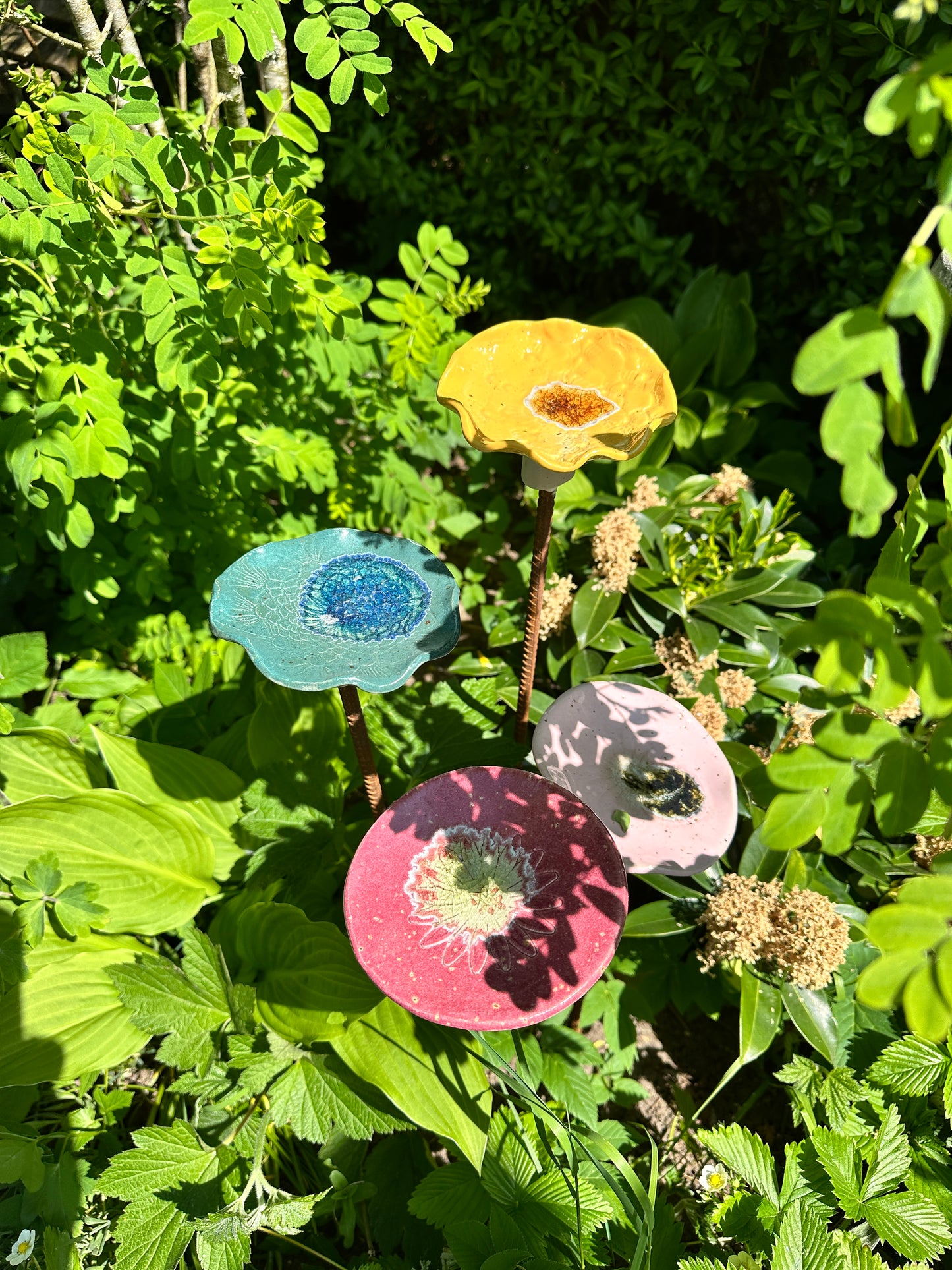 Insektvander uden pind