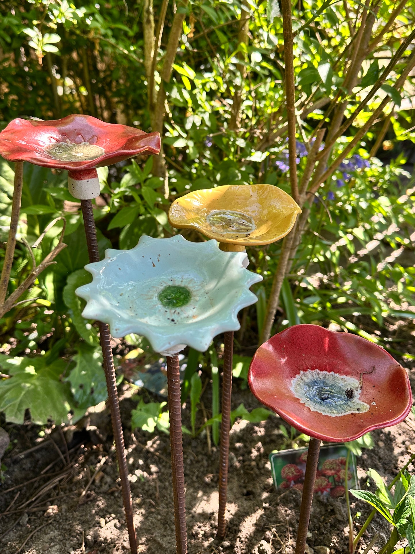 Insektvander uden pind