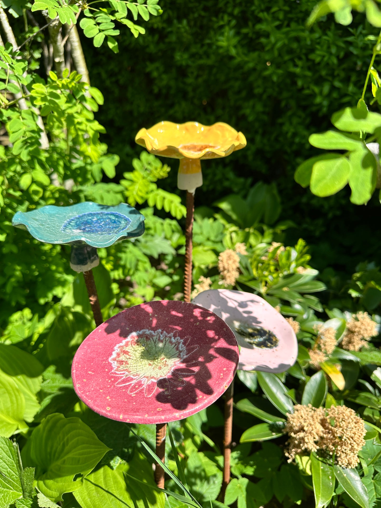 Insektvander uden pind