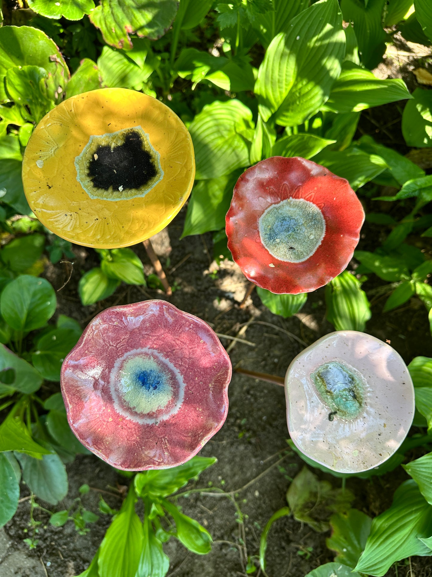 Insektvander uden pind